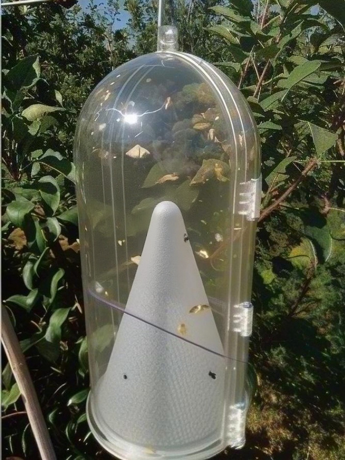 螟蛾类单向捕虫器